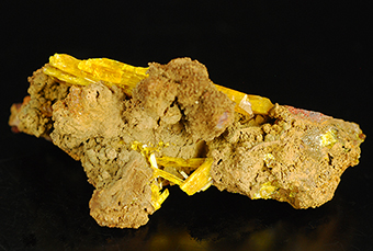 Legrandite - Ojuela Mine - Mapim - Mun. de Mapim - Durango - Mexico