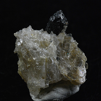 Tapiolite-(Fe)  Alto do Chaga claim  Quixaba  Frei Martino  Paraiba  Brazil