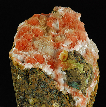 Thomsonite - Deshgaon  Burhanpur  Madhya Pradesh  India