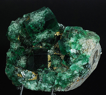 GM23080 - Fluorite  The Hidden Forest Pocket - Diana Maria mine - Frosterley - Weardale - Co. Durham  England  United Kingdom