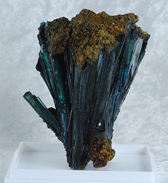 Vivianite - Cabea de Cachorro claim  Sao Gabriel de Cahoeira  Amazonas Brazil