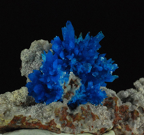 Go to www.miservice.com