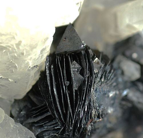 Go to www.miservice.com