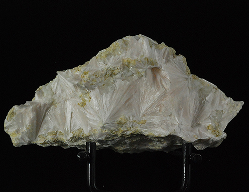 Go to www.miservice.com