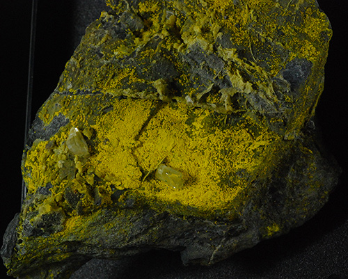 Go to www.miservice.com