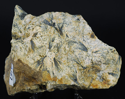 Go to www.miservice.com