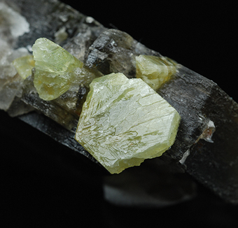 Chrysoberyl over muscovite - Rio das Pratinhas - Arataca - Bahia - Northeast Region - Brazil