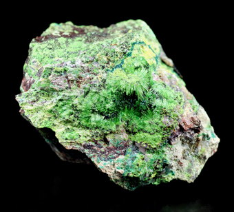 Cuprosklodowskite - Musonoi mine - Kolwezi - Western area - Katanga (Shaba) - Zaire