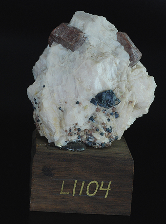 Troostite (var. of Willemite) - Sterling mine - Sterling Hill - Ogdensburg - Franklin Mining distr. - Sussex co. - New Jersey - USA