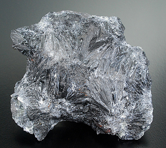 Ludwigite - Salvere level - Brosso mine - Calea - Lessolo - Canavese distr. - Torino prov. - Piedmont - Italy