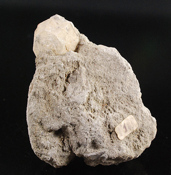 Leucite and augite - Roccamonfina volcanic complex - Caserta prov.- Campania - Italy