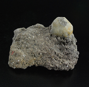 Leucite - Roccamonfina volcanic complex - Caserta prov.- Campania - Italy