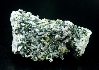 Horneblende and magnetite -Toal d'Allochet - Monzoni mts - S.Pellegrino pass -Fassa valley - Trento prov. - Trentino-Alto Adige - Italy