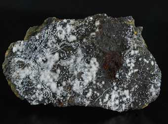 Dypingite and canavesite - Salvere level - Brosso mine - Calea - Lessolo - Canavese distr. - Piedmont - Italy