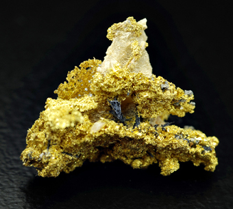 Orthobrannerite and gold - Fenillaz lode - Brusson mine - Aosta Valley - Italy