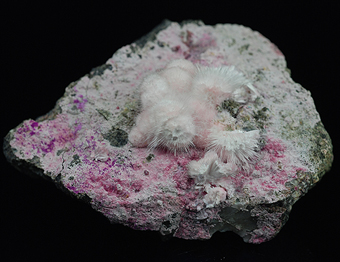 Picropharmacolite and erythrite - Bauhaus - Richelsdorf - Hessen - Germany