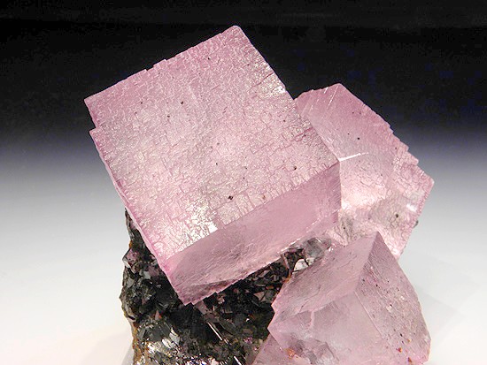 Fluorite on Sphalerite - Elmwood Mine - Carthage - Smith Co. - Tennessee - USA