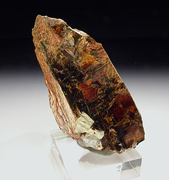 Niobophyllite on K-Feldspar - Mount Malosa, Malawi