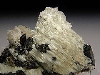 Epididymite, Aegirina. Zomba-Malosa. Malawi