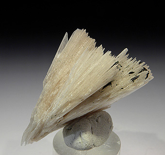 Eudidymite - Mt. Malosa - Zomba District - Malawi (2006)