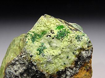 Gillardite with Gaspeite - 132 North Mine, Widgiemooltha, Western Australia, Australia (TYPE LOCALITY)