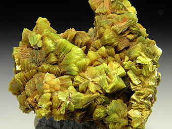 Meta-Autunite - Steinbruck Struberg - Bergen (Vogtl) - Germany