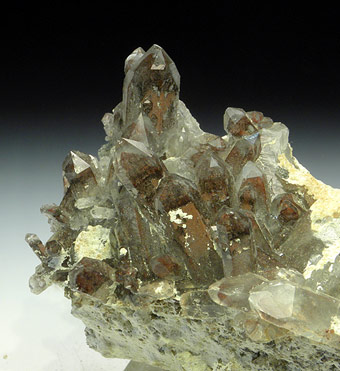Quartz - Orange River - Warmbad - Namasqualand - Namibia