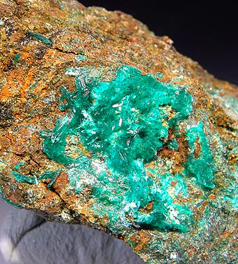 Chalcophyllite - Perda Niedda Mine, by Domusnovas, Province of Cagliari, Sardinia - Italy