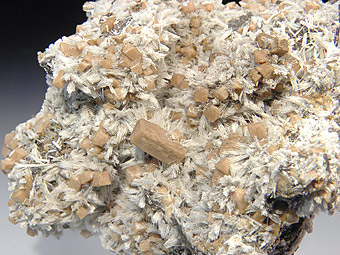 Bultfonteinite and Poldervaartite - N'Chwaning II mine - Kalahari Manganese fields - Northern Cape prov. - South Africa