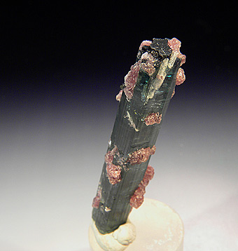 Elbaite with Lepidolite - Pederneira Mine - Sao Jose de Safira - Minas Gerais - Brazil