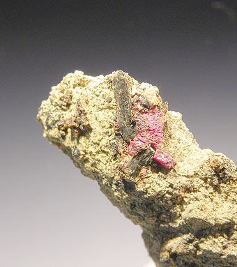 Lorandite with Raguinite - Allchar (Alsar), Roszdan, Republic of Macedonia (TYP LOCALITY)