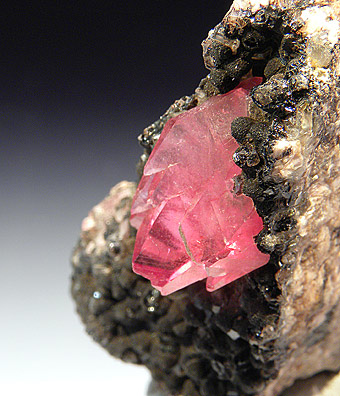 Rhodochrosite - Uchucchacua mine - Oyon prov. - Lima dept. - Peru