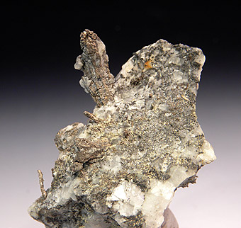 Silver native with Argentite and Galena - Sarrabus - Cagliari Prov. - Sardinia - Italy