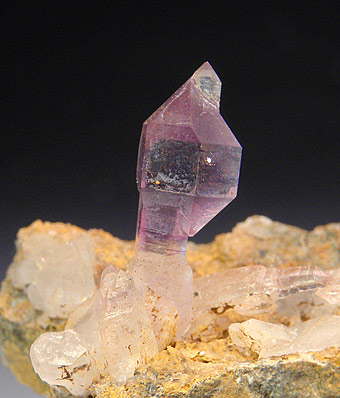 Scepter Quartz var. Amethist - Palfi - Tafelkop - Namibia