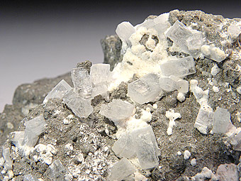 Thomsonite on Leucotefrite - Mt. Somma - Vesuvius - Naples Province - Campania - Italy
