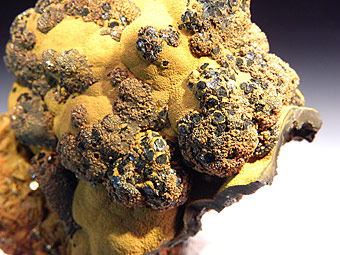 Cronstedtite -   Siglo Veinte Mine , Llallagua, Rafael Bustillo Province, Potos� Department, Bolivia