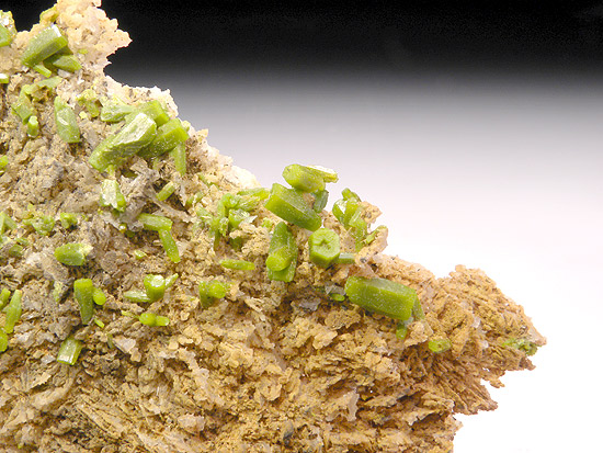 Pyromorphite - Les Farges Mine - France