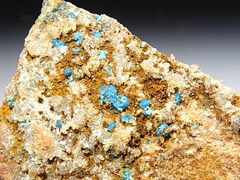 Sampleite - Endeavour 26 Open Cut- North Parkes Mine - Goonumbla - New South Wales - Australia