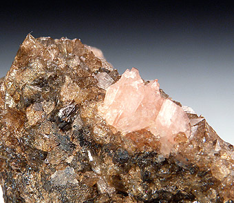 Reddingite with Hureaulite - Cigana Mine, Galil�ia, Doce valley, Minas Gerais, Brazil