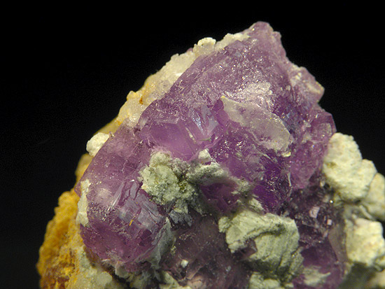 coqu