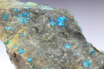 Sampleite - Chuquicamata Mine - Antofagasta - Chile