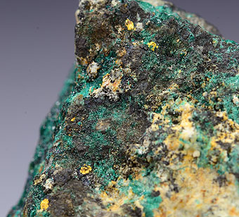 Native Gold with Atacamite - La Compania Mine - Sierra Gorda - Antofagasta - Chile