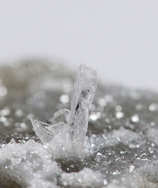 Priceite on Anhydrite - Kohnstein Quarry, Niedersachswerfen, Nordhausen, Harz, Thuringia, Germany 