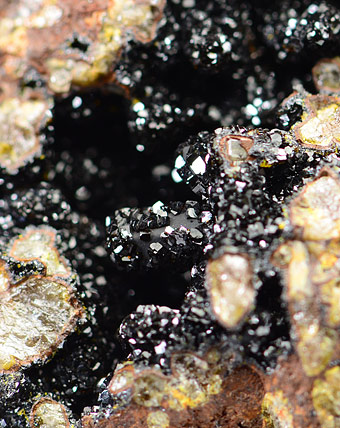 Beudantite -    Schne Aussicht Mine, Dernbach, Neuwied, Wied Iron Spar District, Westerwald, Rhineland-Palatinate, Germany