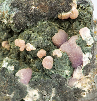 Strengite with Beraunite - Leveniemi Iron mine - Svappavaara - Kiruna - Lappland - Sweden