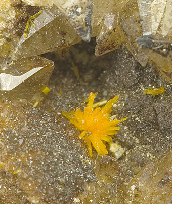 Boltwoodite - Rssing Uranium Mine, Arandis, Swakopmund District, Erongo Region, Namibia
