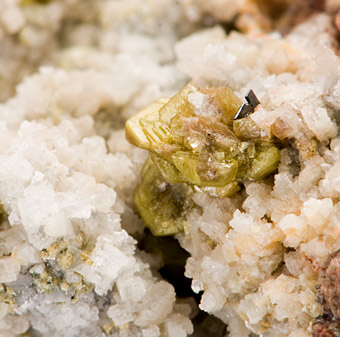 Sinchisite-(Ce) with Anatase - Stbr. Petersberg - bei halle - Sachsen - Anhalt - Germany