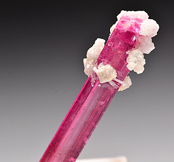 Elbaite var. Rubellite - Cruzeiro mine, So Jos da Safira, Doce valley, Minas Gerais, Brazil
