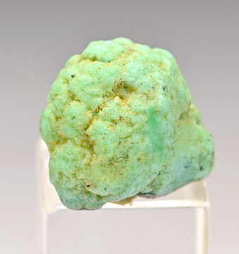 Prosopite - Santa Rosa Mine, Santa Rosa, Mun. de Mazapil, Zacatecas, Mexico