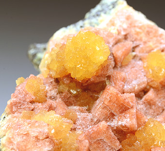 Stellerite with Chabazite - Stellerite - Sarbay Iron Mine - Rudnyi Altai - Kazakhstan